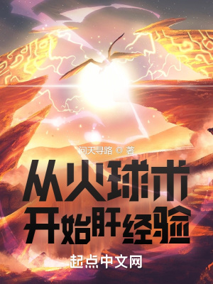 《从火球术开始肝经验》