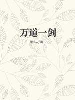《万道一剑》