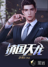 《镇国天龙》