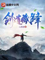 《剑道藏锋》