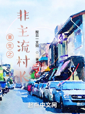 《重生之非主流村长》