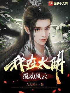 《我在大明搅动风云》