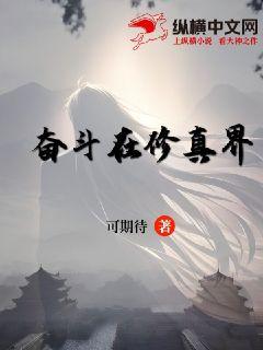《奋斗在修真界》