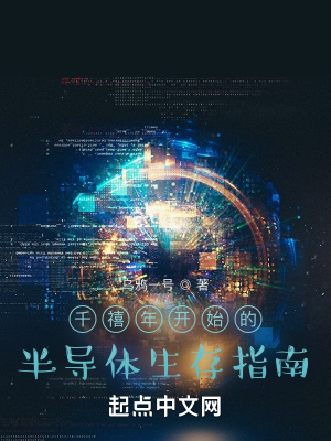 《千禧年半导体生存指南》
