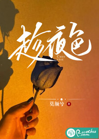 《趁夜色》