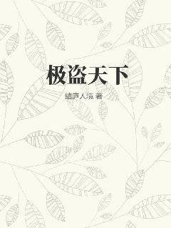 《极盗天下》