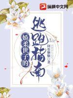 《娇柔世子的逃跑指南》