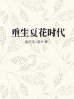 《重生夏花时代》