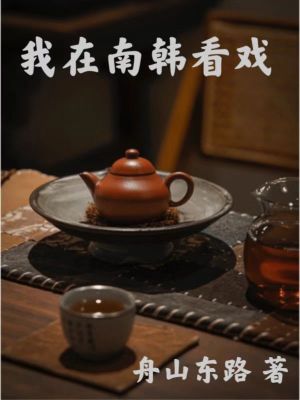 《我在南韩看戏》