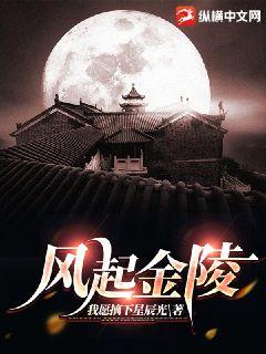 《风起金陵》