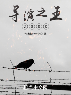 《导演之王2000》