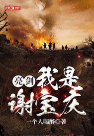 《亮剑：我是谢宝庆》