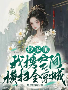 《抄家前，我携空间横扫全京城》
