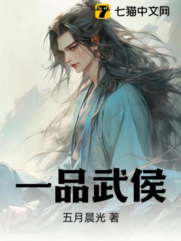 《一品武侯》