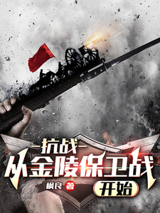 《抗战：从金陵保卫战开始》
