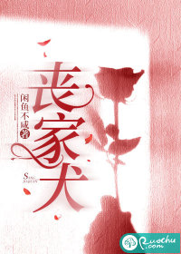 《丧家犬》