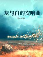 《灰与白的交响曲》