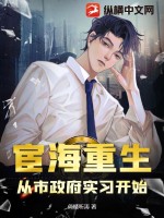 《宦海重生：从市政府实习开始》