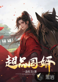 《超品国婿》