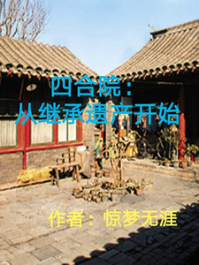 《四合院：从继承遗产开始》