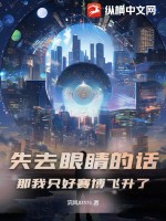 《失去眼睛的话，那我只好赛博飞升了》