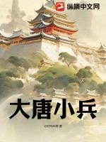 《大唐小兵》