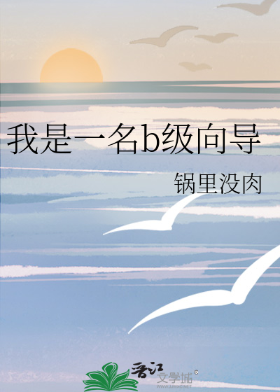 《我是一名b级向导》