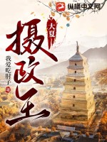 《大夏摄政王》