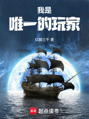 《我是唯一的玩家》