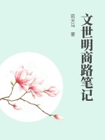 《文世明商路笔记》