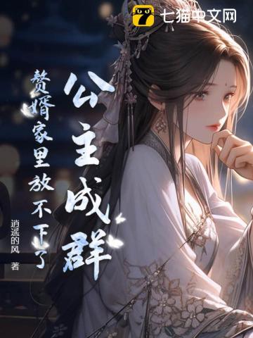 《公主成群，赘婿家里放不下了》