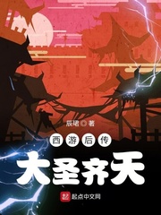 《西游后传，大圣齐天》