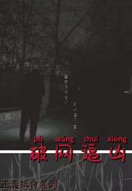 《破网追凶》