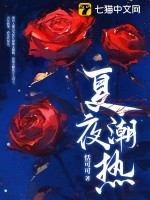 《夏夜潮热》