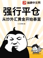 《强行平仓：从炒外汇黄金开始暴富》