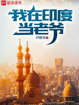 《我在印度当老爷》
