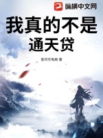《我真的不是通天贷》