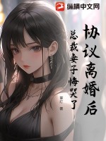 《协议离婚后：总裁妻子悔哭了》