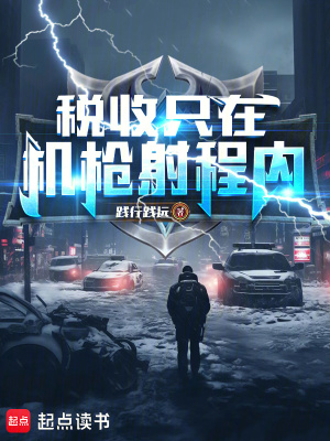 《税收只在机枪射程内！》