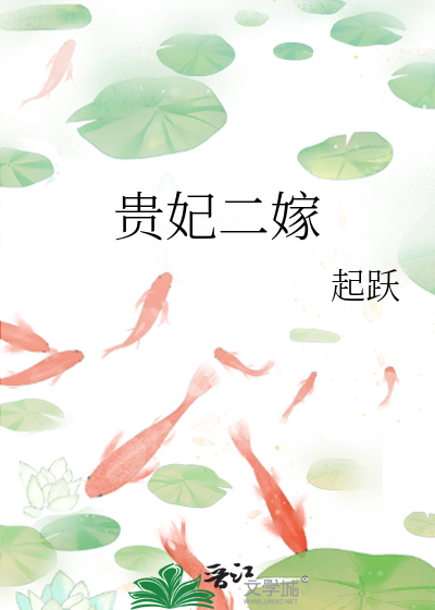《贵妃二嫁》