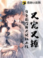 《又宠又撩，分手后冷厉大佬扛不住！》