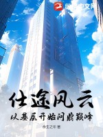 《仕途风云：从基层开始问鼎巅峰》
