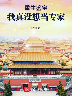 《重生鉴宝：我真没想当专家》