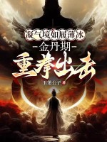 《凝气境如履薄冰，金丹期重拳出击》