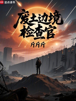 《废土边境检查官》