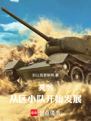 《亮剑：从区小队开始发展》
