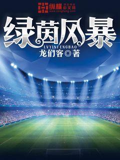 《绿茵风暴》
