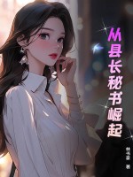 《从县长秘书崛起》