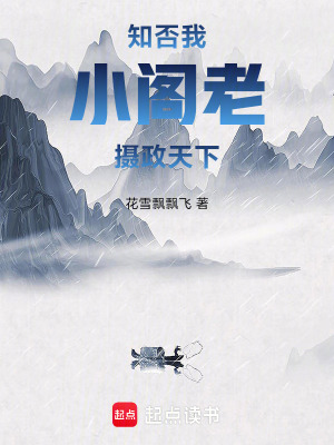《知否：我，小阁老，摄政天下》