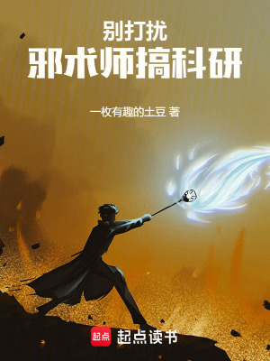 《别打扰邪术师搞科研》